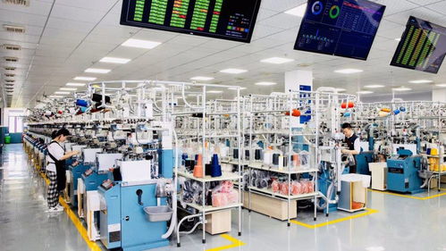 數(shù)字技術(shù)賦能智慧時(shí)尚 浙江諸暨以科技驅(qū)動(dòng)產(chǎn)業(yè)高質(zhì)量發(fā)展，助力構(gòu)建雙循環(huán)新格局